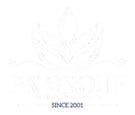 PK Group India - Logo